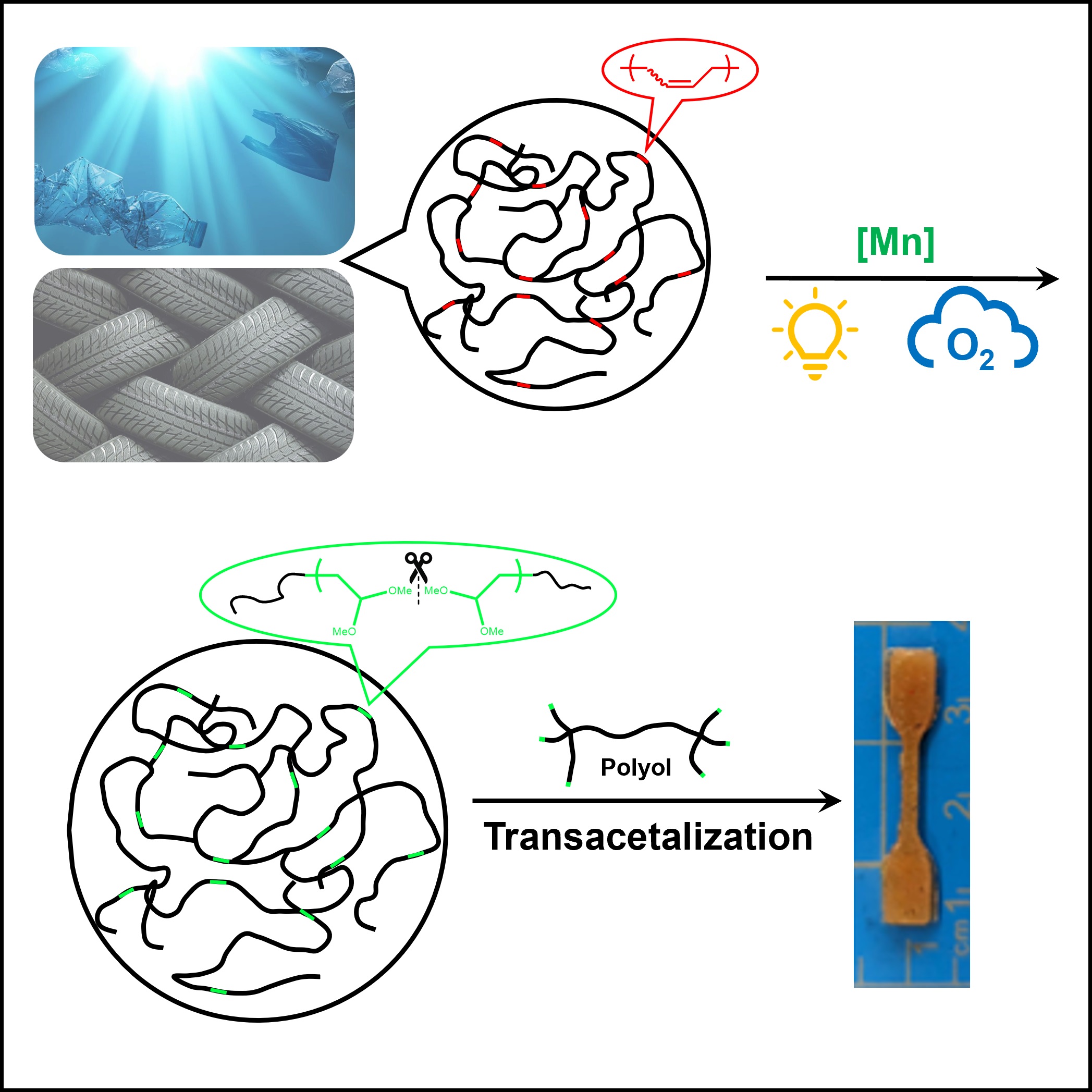 Wang graphical abstract.jpg